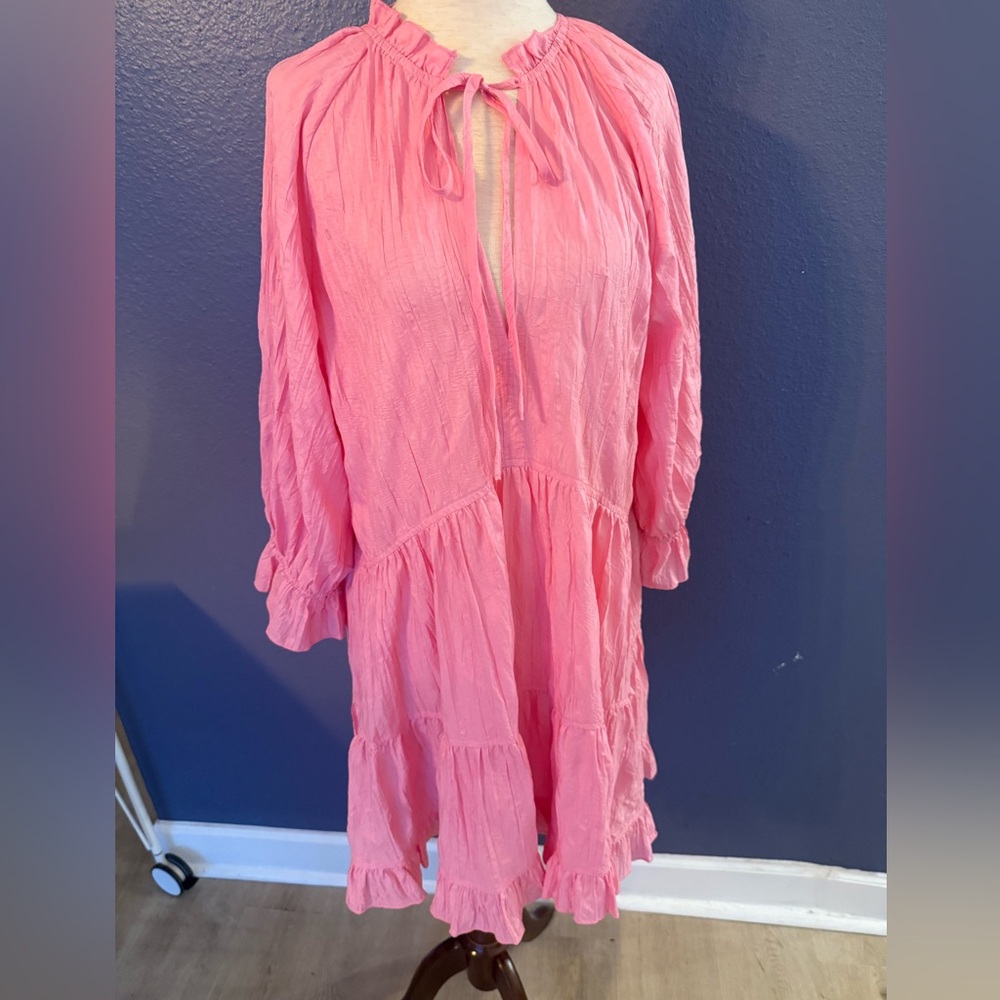 Pinch Pink Ruffled Dress
